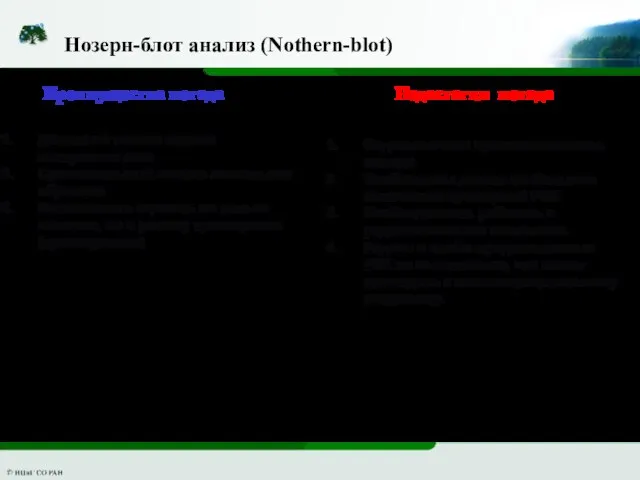 Нозерн-блот анализ (Nothern-blot) Преимущества метода Недостатки метода Довольно точная оценка экспрессии