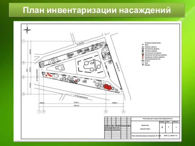 План инвентаризации насаждений