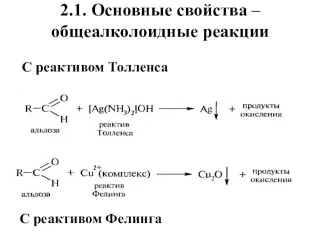 С реактивом Толленса С реактивом Фелинга 2.1. Основные свойства – общеалколоидные реакции