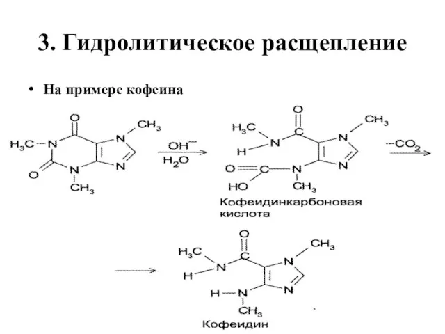 3. Гидролитическое расщепление На примере кофеина