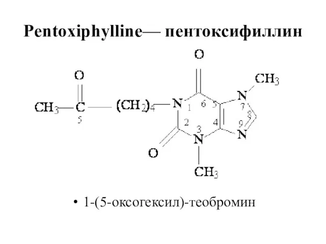 Pentoxiphylline— пентоксифиллин 1-(5-оксогексил)-теобромин