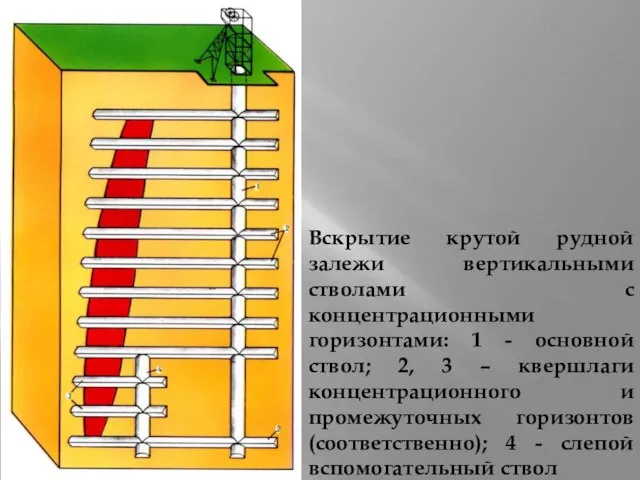 Вскрытие крутой рудной залежи вертикальными стволами c концентрационными горизонтами: 1 -