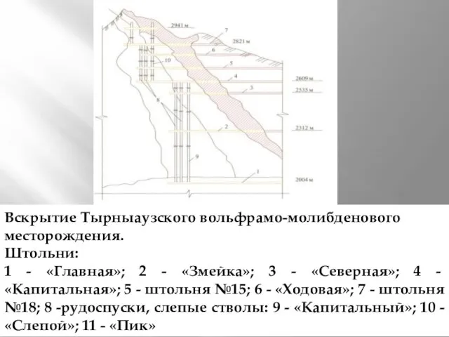 Вскрытие Тырныаузского вольфрамо-молибденового месторождения. Штольни: 1 - «Главная»; 2 - «Змейка»;