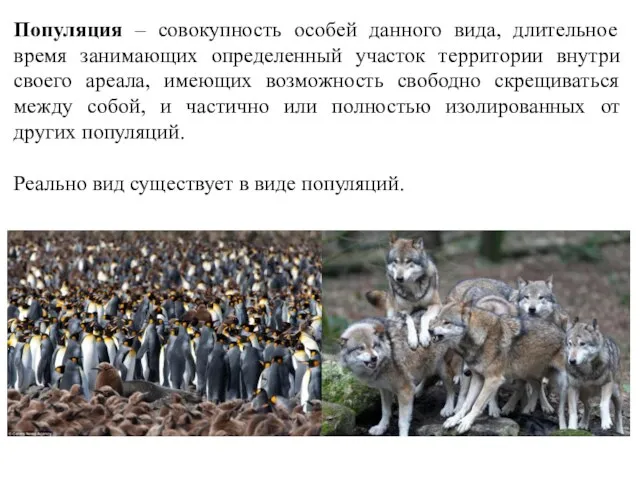 Популяция – совокупность особей данного вида, длительное время занимающих определенный участок