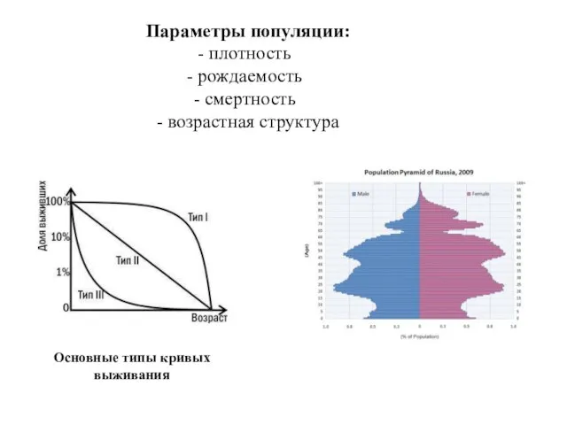 Параметры популяции: плотность рождаемость смертность - возрастная структура Основные типы кривых выживания