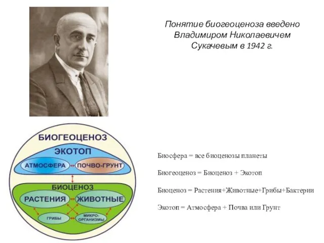 Понятие биогеоценоза введено Владимиром Николаевичем Сукачевым в 1942 г. Биосфера =