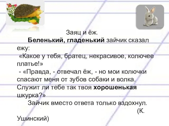 Заяц и ёж. Беленький, гладенький зайчик сказал ежу: «Какое у тебя,