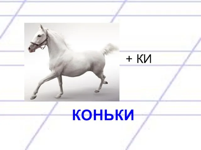 + КИ КОНЬКИ