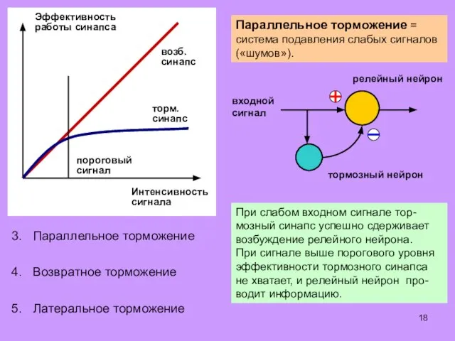 Некоторые алгоритмы обработки информации, характерные для сенсор- ных центров головного и