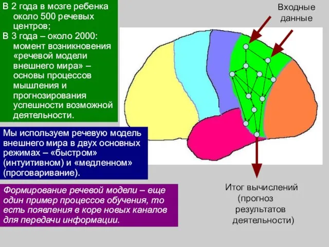 Формирование речевой модели – еще один пример процессов обучения, то есть