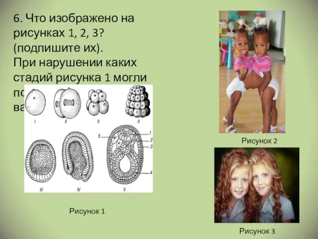 6. Что изображено на рисунках 1, 2, 3? (подпишите их). При