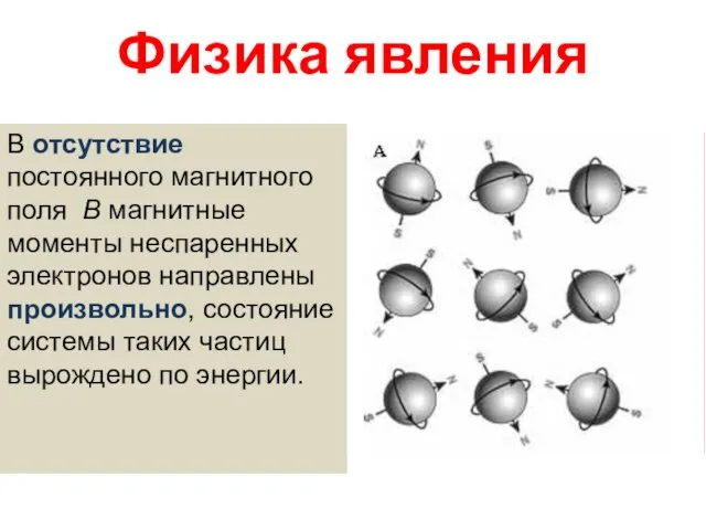 Физика явления В отсутствие постоянного магнитного поля В магнитные моменты неспаренных