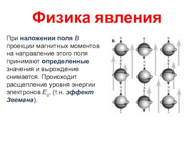 Физика явления При наложении поля В проекции магнитных моментов на направление