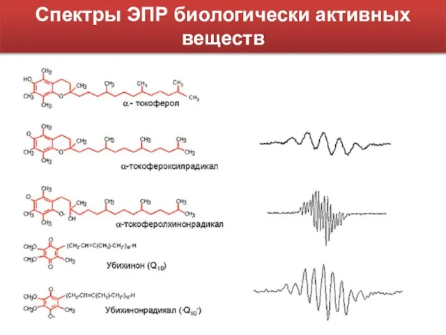 Спектры ЭПР биологически активных веществ