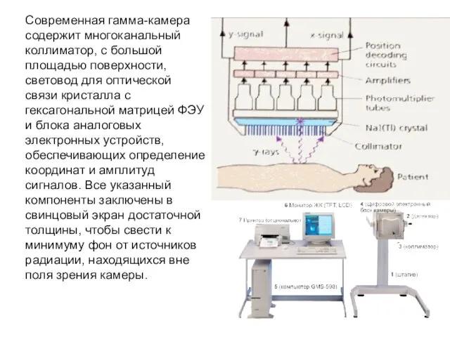 Современная гамма-камера содержит многоканальный коллиматор, с большой площадью поверхности, световод для