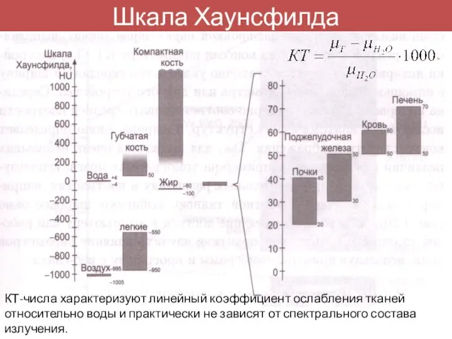 Шкала Хаунсфилда КТ-числа характеризуют линейный коэффициент ослабления тканей относительно воды и