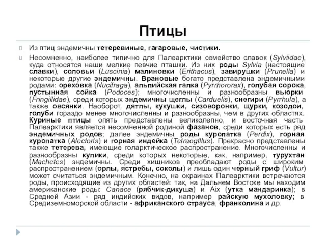 Птицы Из птиц эндемичны тетеревиные, гагаровые, чистики. Несомненно, наиболее типично для