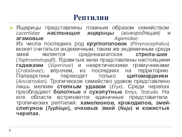 Рептилии Ящерицы представлены главным образом семейством Lacertidae настоящие ящерицы (живородящая) и