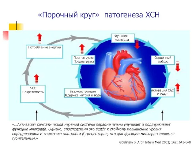 «Порочный круг» патогенеза ХСН «…Активация симпатической нервной системы первоначально улучшает и