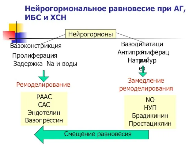 Нейрогормональное равновесие при АГ, ИБС и ХСН Нейрогормоны Вазоконстрикция Вазодилатация Пролиферация