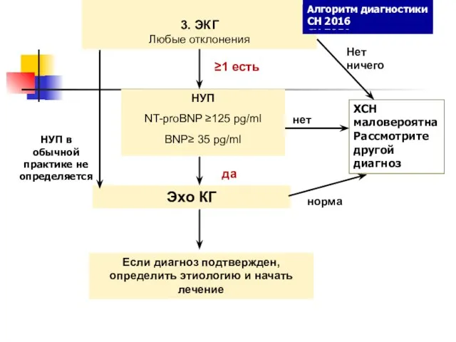 3. ЭКГ Любые отклонения Нет ничего НУП NT-proBNP ≥125 pg/ml BNP≥