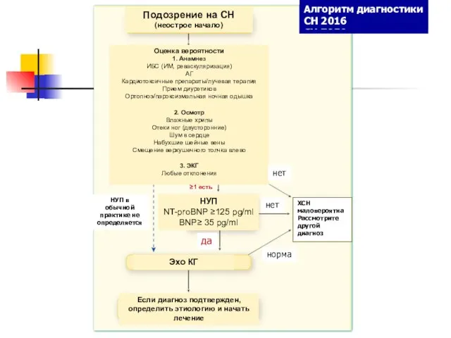 Подозрение на СН (неострое начало) Оценка вероятности 1. Анамнез ИБС (ИМ,