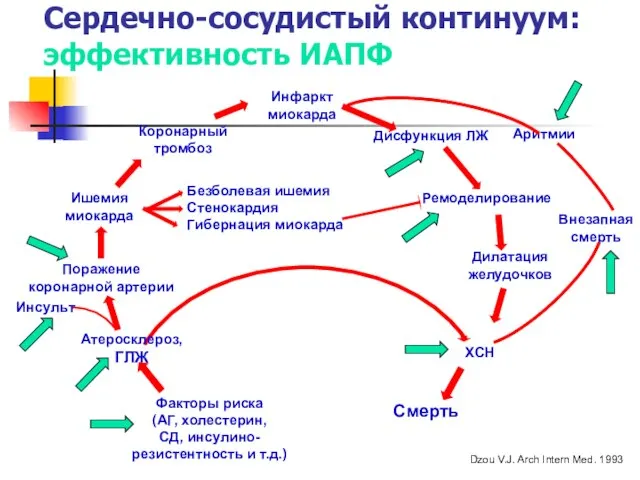 Сердечно-сосудистый континуум: эффективность ИАПФ Инфаркт миокарда Внезапная смерть Ремоделирование Дилатация желудочков