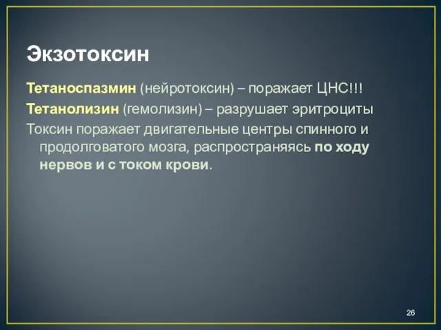 Экзотоксин Тетаноспазмин (нейротоксин) – поражает ЦНС!!! Тетанолизин (гемолизин) – разрушает эритроциты