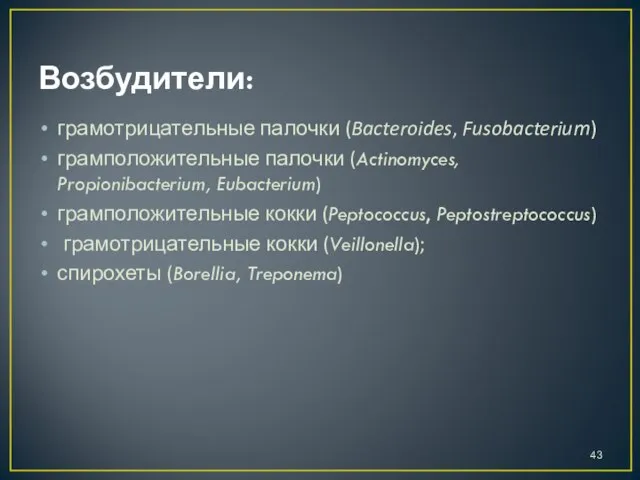 Возбудители: грамотрицательные палочки (Bacteroides, Fusobacterium) грамположительные палочки (Actinomyces, Propionibacterium, Eubacterium) грамположительные