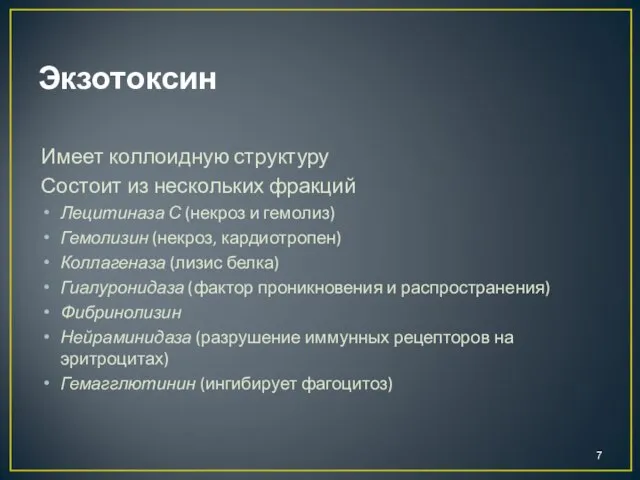 Экзотоксин Имеет коллоидную структуру Состоит из нескольких фракций Лецитиназа С (некроз