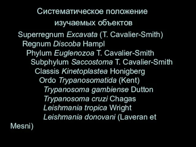 Систематическое положение изучаемых объектов Superregnum Excavata (T. Cavalier-Smith) Regnum Discoba Hampl