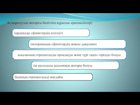 Ас қорытутың жоғарғы бөлігінің құрылыс ерекшеліктері: кардиалды сфинктердің әлсіздігі іш қуысында