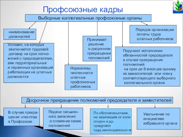 Профсоюзные кадры Выборные коллегиальные профсоюзные органы наименование должностей Условия, на которых