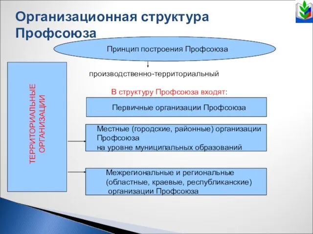 Организационная структура Профсоюза Принцип построения Профсоюза производственно-территориальный В структуру Профсоюза входят: