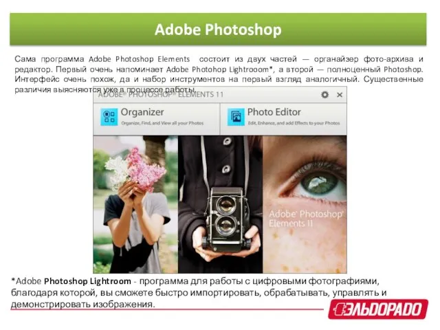 Сама программа Adobe Photoshop Elements состоит из двух частей — органайзер