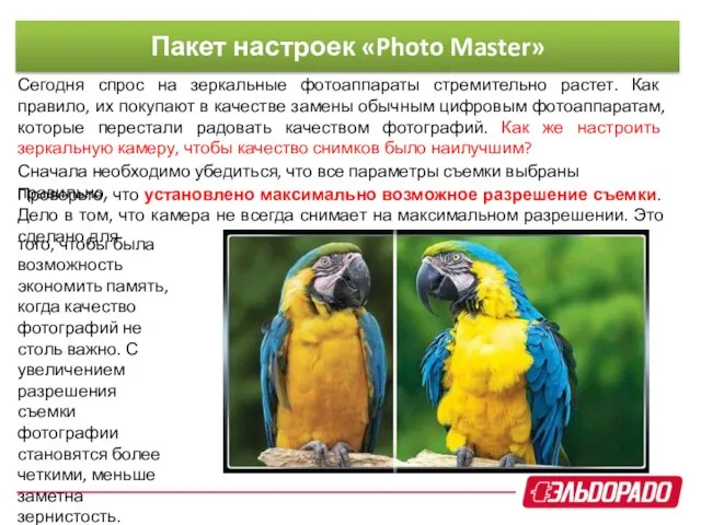 Пакет настроек «Photo Master» Сегодня спрос на зеркальные фотоаппараты стремительно растет.