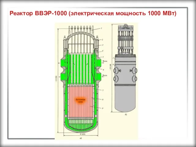Реактор ВВЭР-1000 (электрическая мощность 1000 МВт)