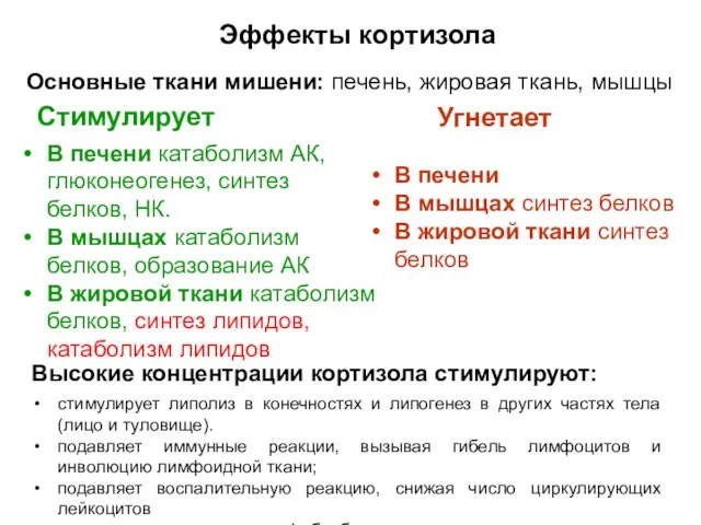 Основные ткани мишени: печень, жировая ткань, мышцы Стимулирует Угнетает В печени