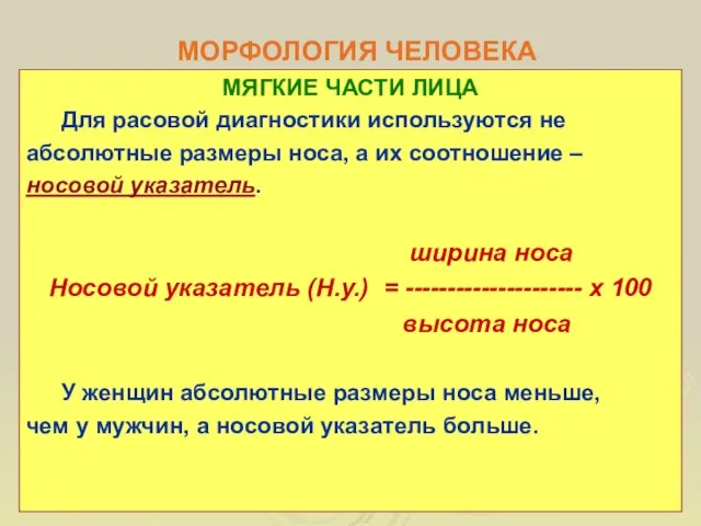 МОРФОЛОГИЯ ЧЕЛОВЕКА МЯГКИЕ ЧАСТИ ЛИЦА Для расовой диагностики используются не абсолютные