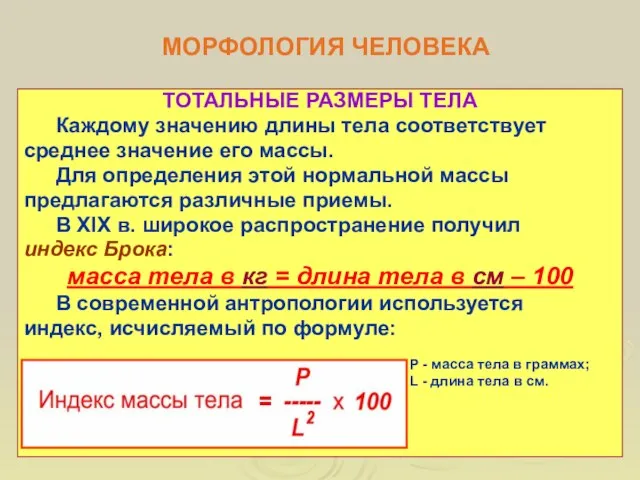 МОРФОЛОГИЯ ЧЕЛОВЕКА ТОТАЛЬНЫЕ РАЗМЕРЫ ТЕЛА Каждому значению длины тела соответствует среднее