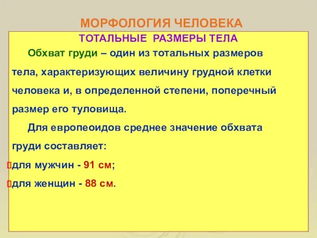 МОРФОЛОГИЯ ЧЕЛОВЕКА ТОТАЛЬНЫЕ РАЗМЕРЫ ТЕЛА Обхват груди – один из тотальных