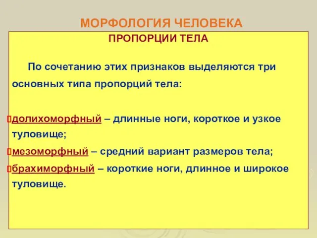 МОРФОЛОГИЯ ЧЕЛОВЕКА ПРОПОРЦИИ ТЕЛА По сочетанию этих признаков выделяются три основных