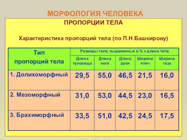 МОРФОЛОГИЯ ЧЕЛОВЕКА ПРОПОРЦИИ ТЕЛА Характеристика пропорций тела (по П.Н.Башкирову)