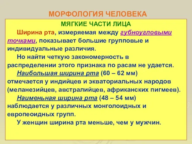 МОРФОЛОГИЯ ЧЕЛОВЕКА МЯГКИЕ ЧАСТИ ЛИЦА Ширина рта, измеряемая между губноугловыми точками,