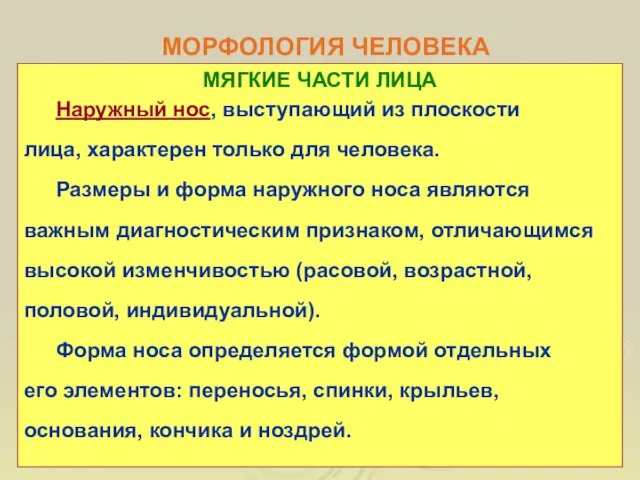 МОРФОЛОГИЯ ЧЕЛОВЕКА МЯГКИЕ ЧАСТИ ЛИЦА Наружный нос, выступающий из плоскости лица,