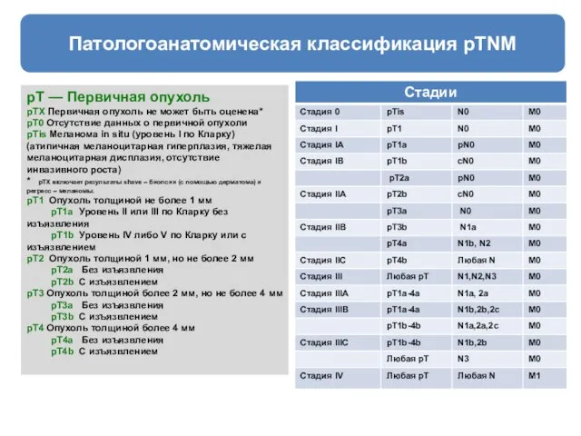 Патологоанатомическая классификация pTNM pT — Первичная опухоль pTX Первичная опухоль не