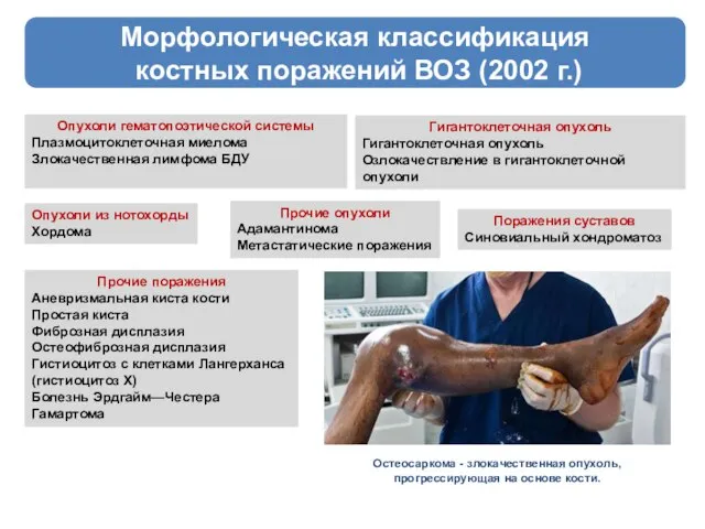 Морфологическая классификация костных поражений ВОЗ (2002 г.) Опухоли гематопоэтической системы Плазмоцитоклеточная