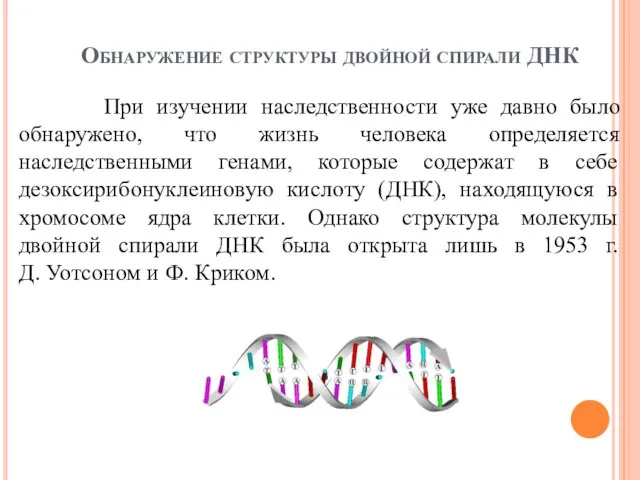 Обнаружение структуры двойной спирали ДНК При изучении наследственности уже давно было