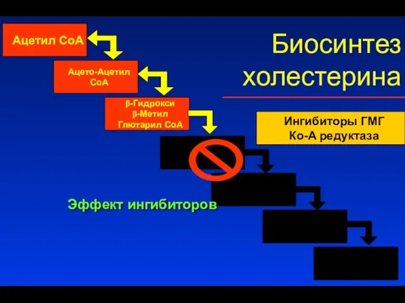 Slide Ингибиторы ГМГ Ко-A редуктаза