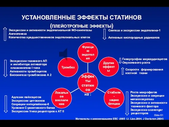 Slide УСТАНОВЛЕННЫЕ ЭФФЕКТЫ СТАТИНОВ (ПЛЕЙОТРОПНЫЕ ЭФФЕКТЫ) Экспрессии и активности эндотелиальной NO-синтетазы